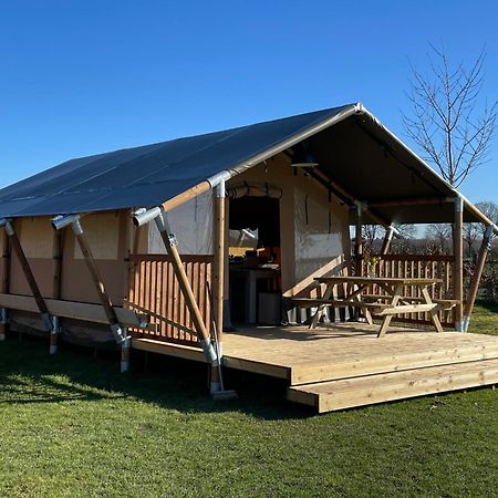 Luxe Safaritenten Petit013 - Nieuw 튈뷔르흐 외부 사진
